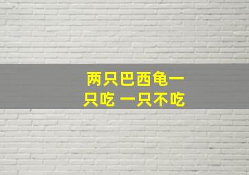 两只巴西龟一只吃 一只不吃